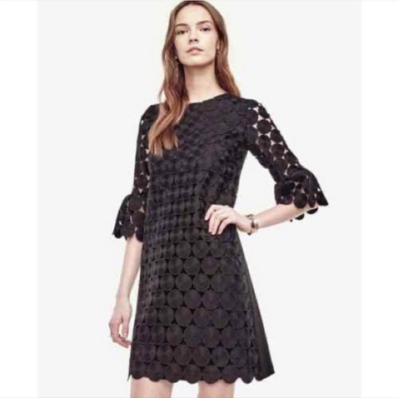 Ann Taylor sz 10 black circle dress ruffle sleeve - Picture 1 of 6
